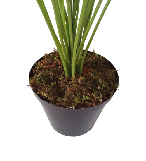 Artificial Birds of Paradise Indoor Pot Plant