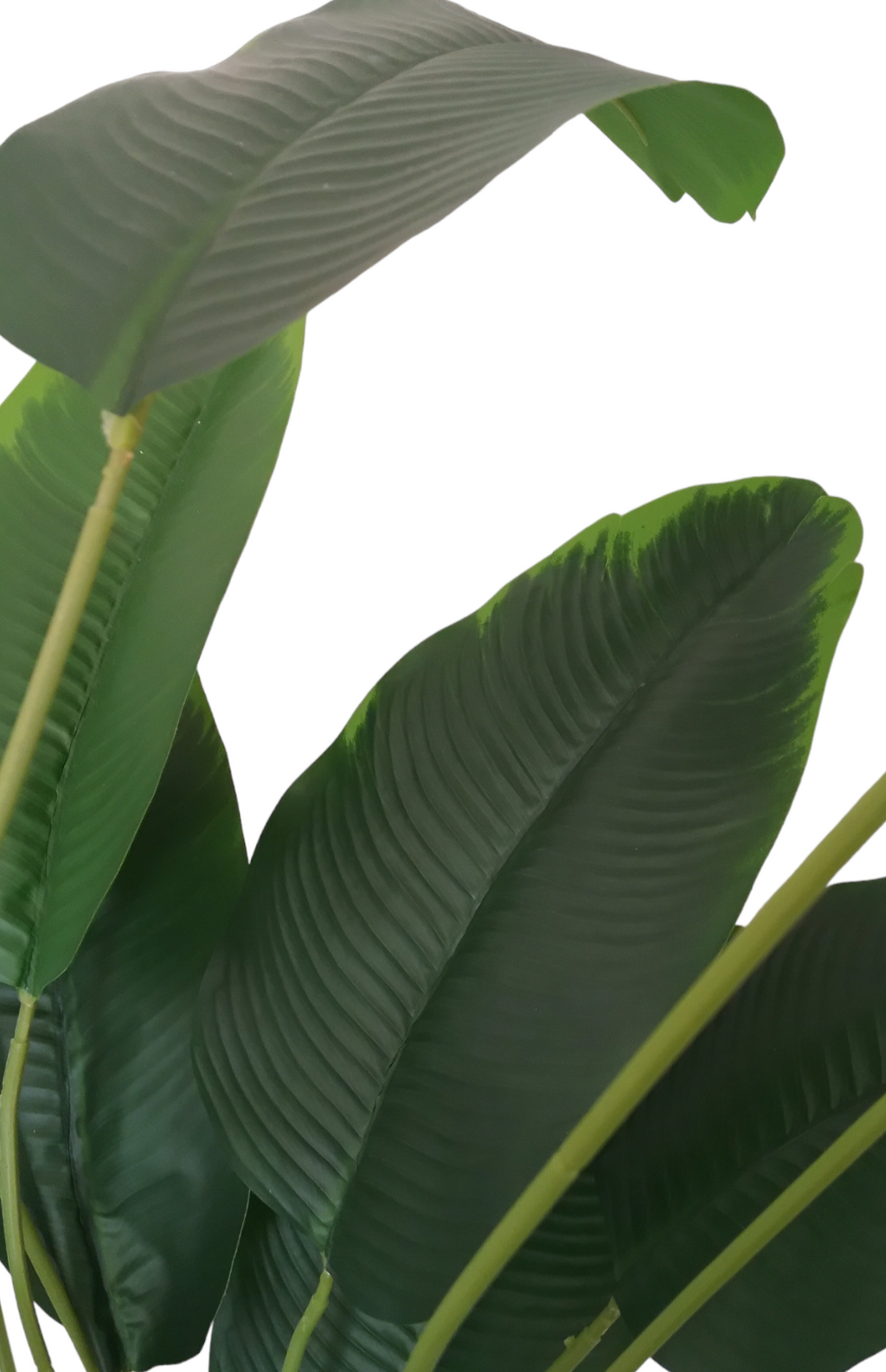 Artificial Birds of Paradise Indoor Pot Plant